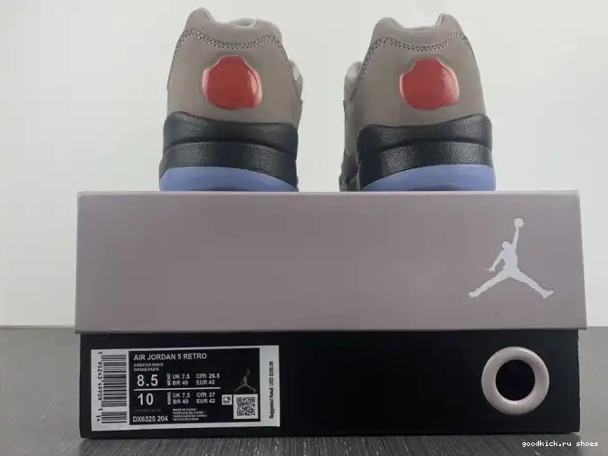 x Air DX6325-204 Low PSG Jordan 5 0528